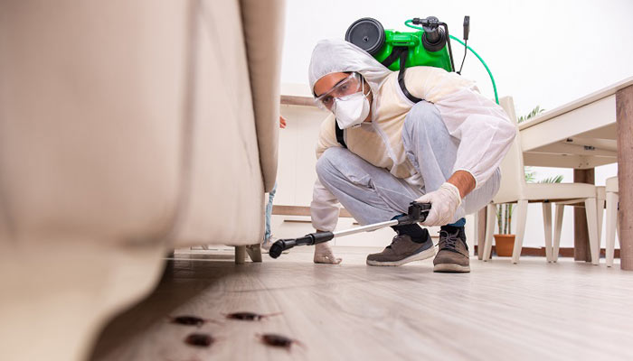 Pest control service in Portland, Oregon
